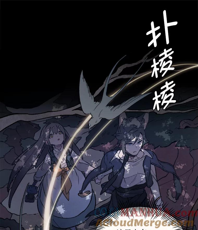 《在流星坠落之处等待》11.维维拉比鸟 第31页