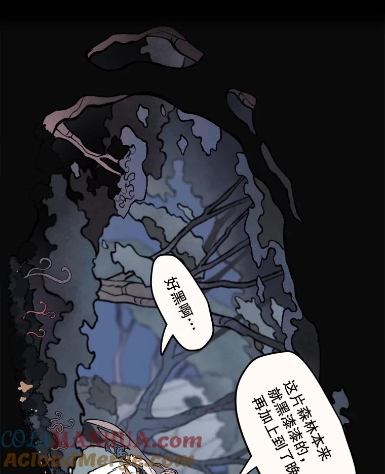 《在流星坠落之处等待》11.维维拉比鸟 第22页