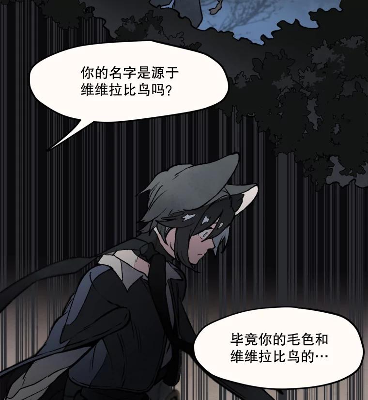 《在流星坠落之处等待》11.维维拉比鸟 第36页
