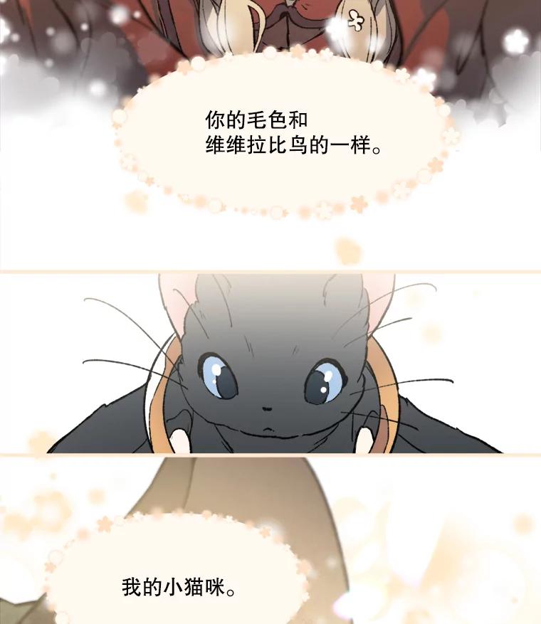 《在流星坠落之处等待》11.维维拉比鸟 第41页