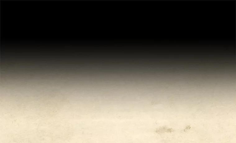 《在流星坠落之处等待》11.维维拉比鸟 第17页