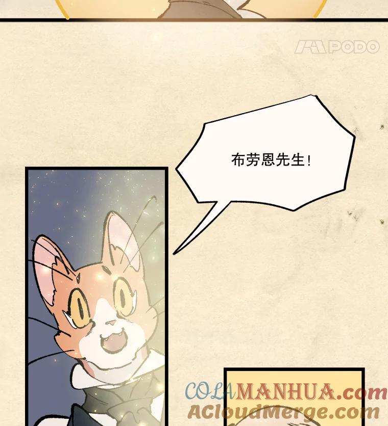 《在流星坠落之处等待》15.布劳恩先生 第46页
