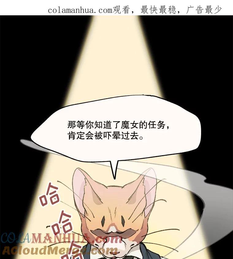 《在流星坠落之处等待》15.布劳恩先生 第1页