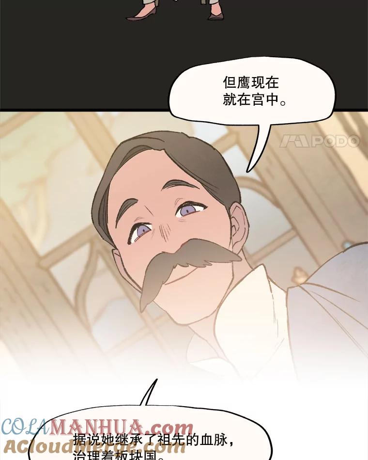 《在流星坠落之处等待》22.索尔塔尼卡的鸟 第34页