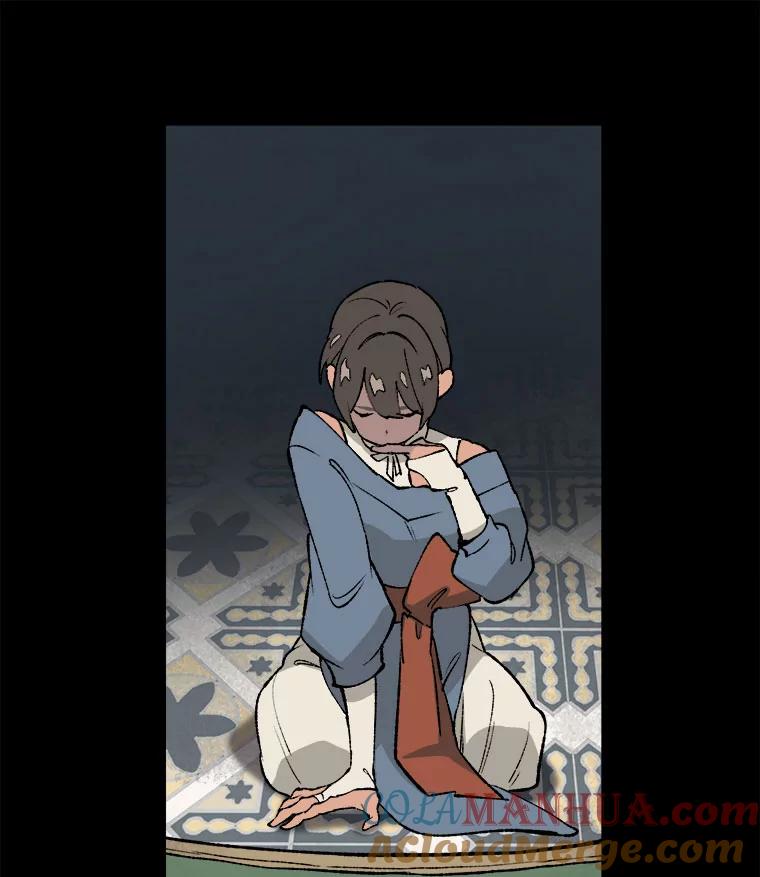 《在流星坠落之处等待》22.索尔塔尼卡的鸟 第46页