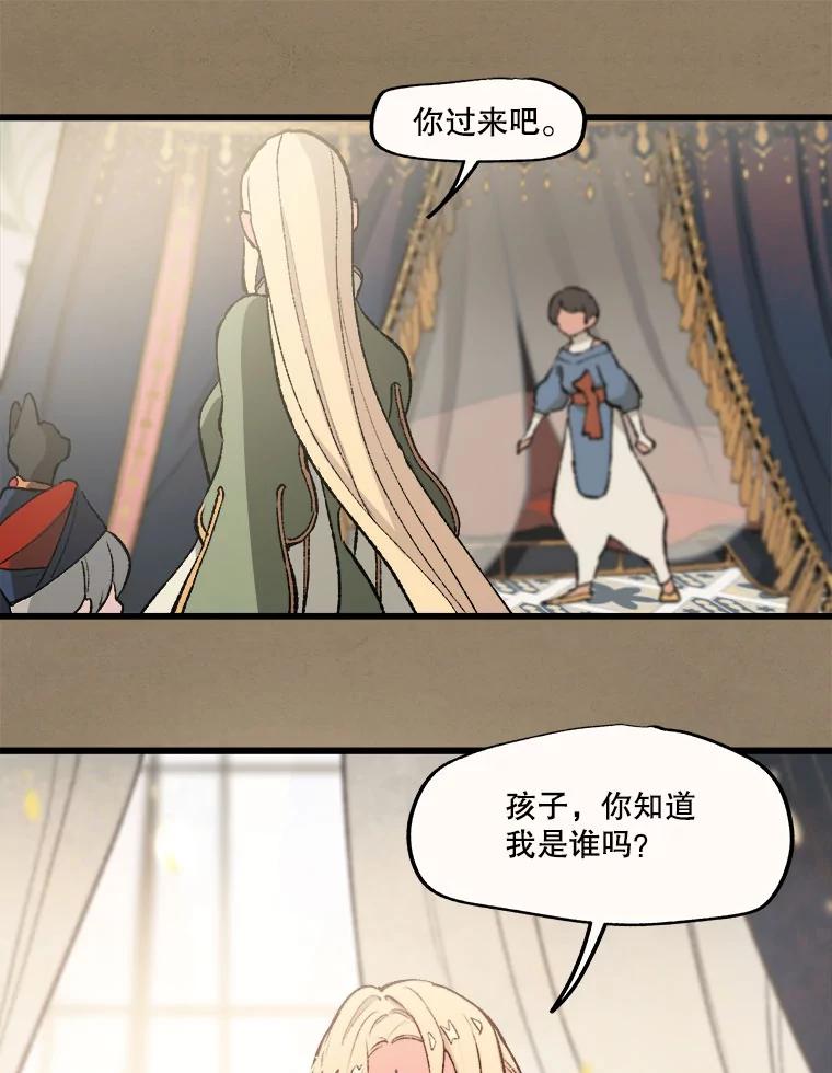 《在流星坠落之处等待》22.索尔塔尼卡的鸟 第14页