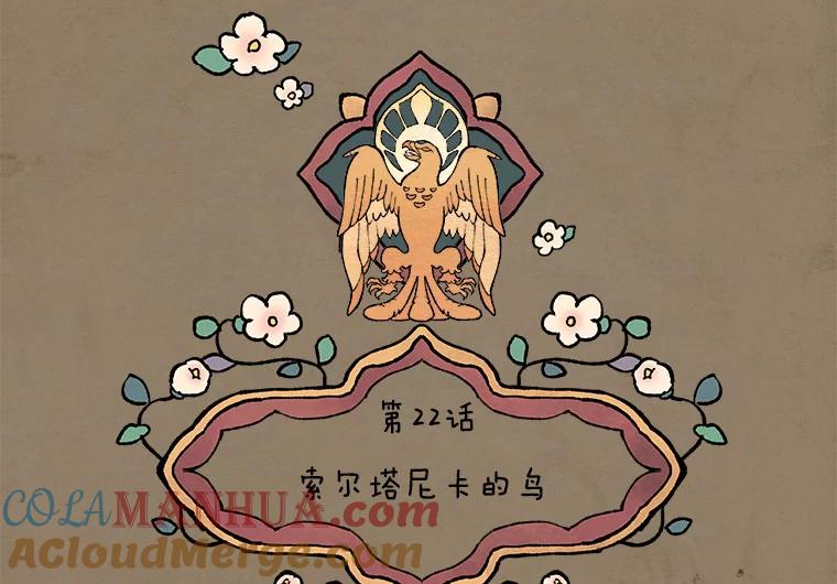 《在流星坠落之处等待》22.索尔塔尼卡的鸟 第22页
