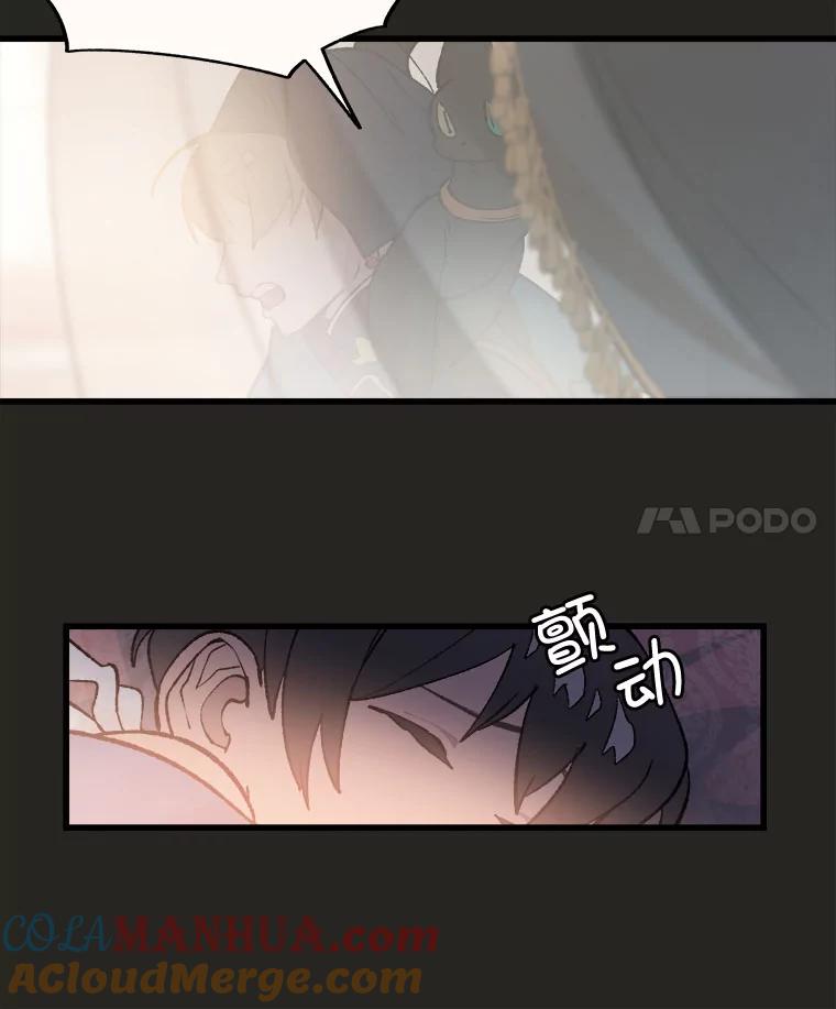 《在流星坠落之处等待》22.索尔塔尼卡的鸟 第4页