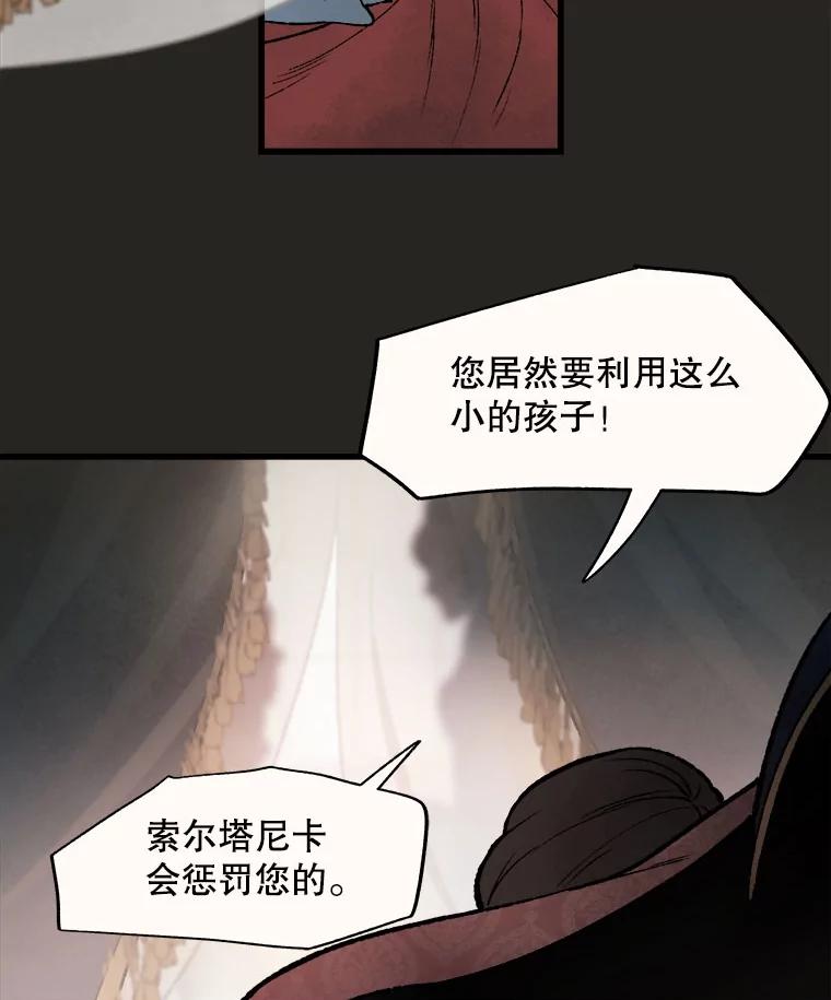 《在流星坠落之处等待》22.索尔塔尼卡的鸟 第2页