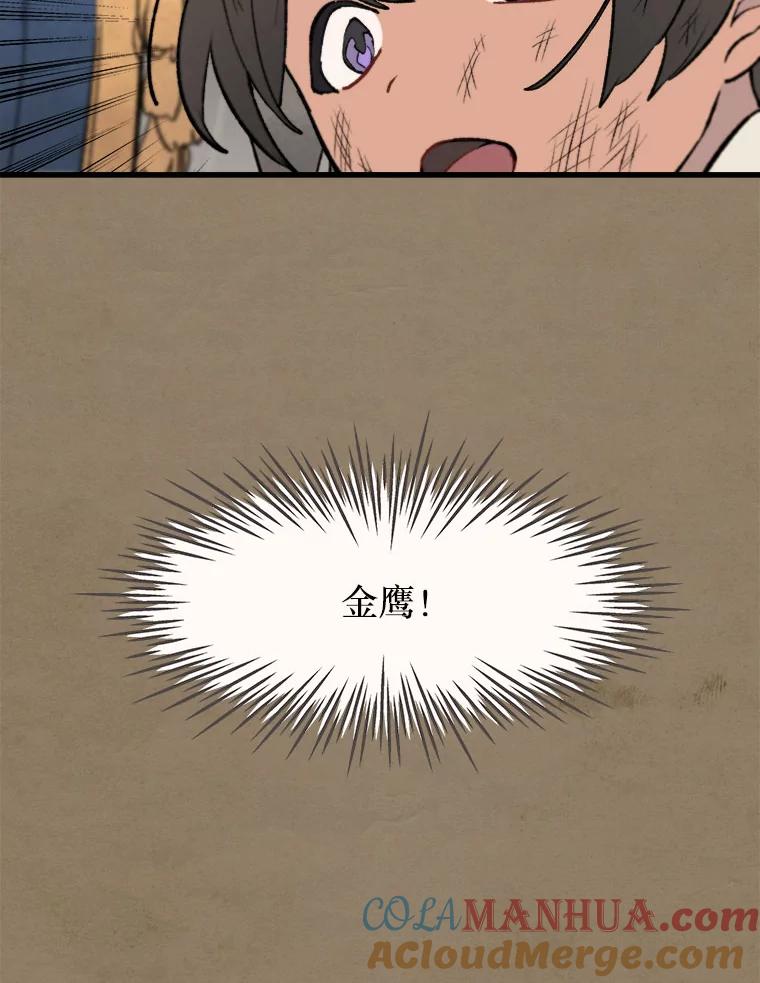 《在流星坠落之处等待》22.索尔塔尼卡的鸟 第19页