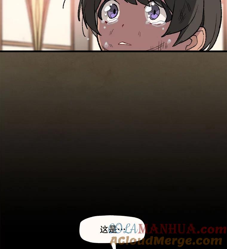 《在流星坠落之处等待》22.索尔塔尼卡的鸟 第43页