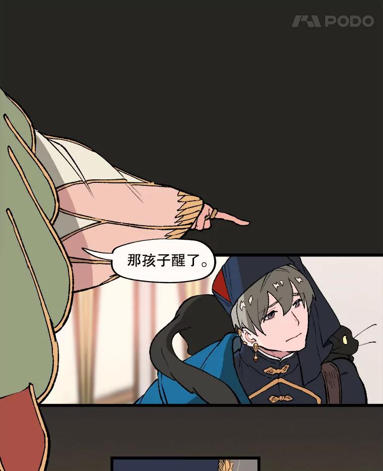 《在流星坠落之处等待》22.索尔塔尼卡的鸟 第12页