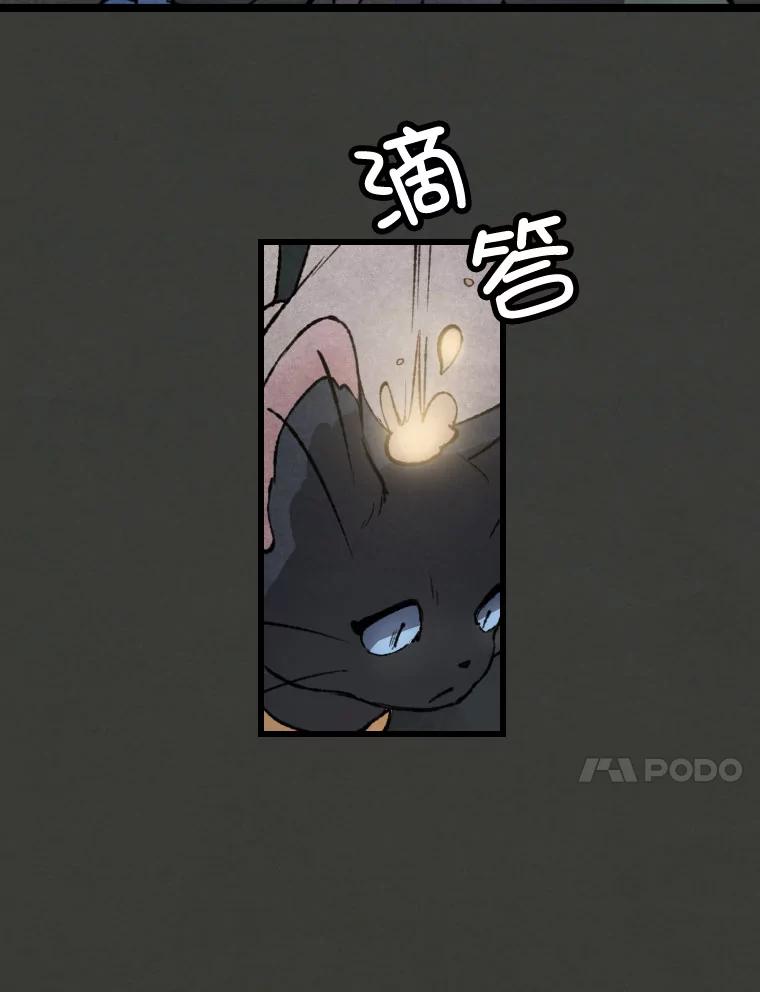 《在流星坠落之处等待》26.暗黑星星的悲鸣 第69页