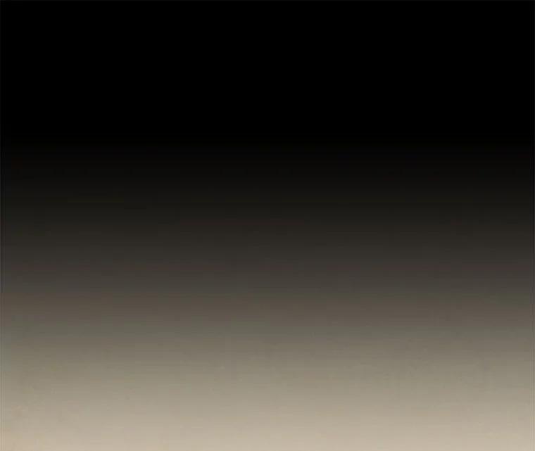 《在流星坠落之处等待》32.我不是弗罗。 第83页