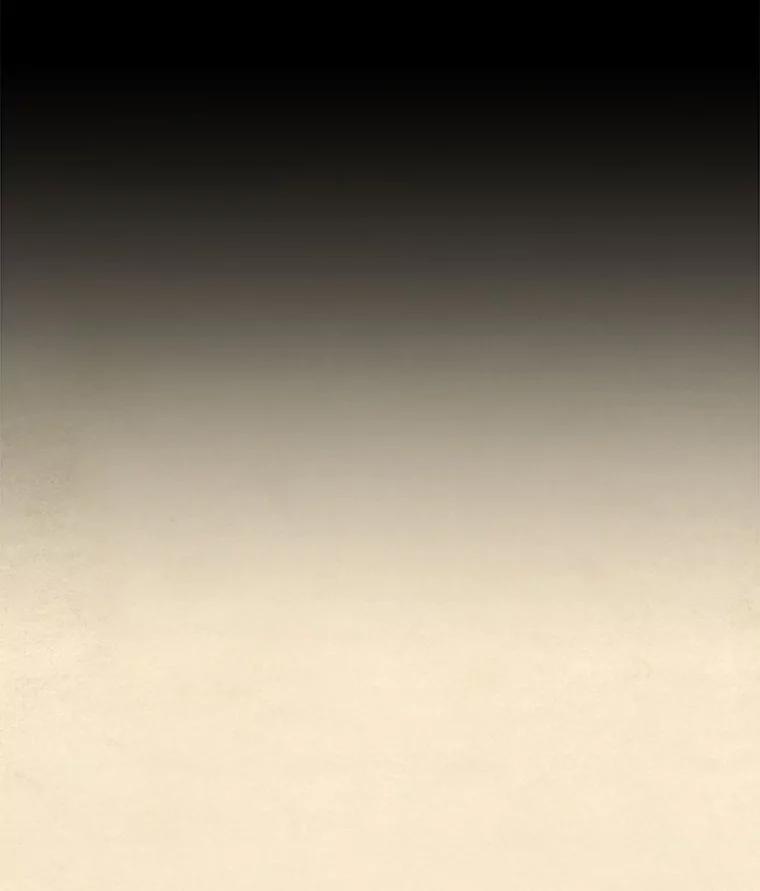 《在流星坠落之处等待》32.我不是弗罗。 第65页