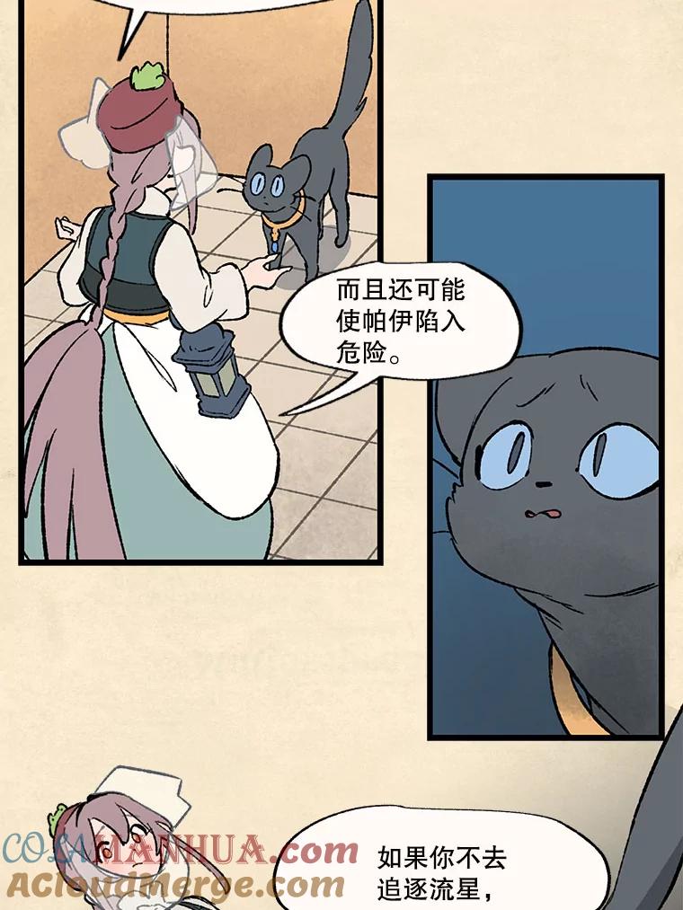 《在流星坠落之处等待》33.帕伊的牺牲 第58页