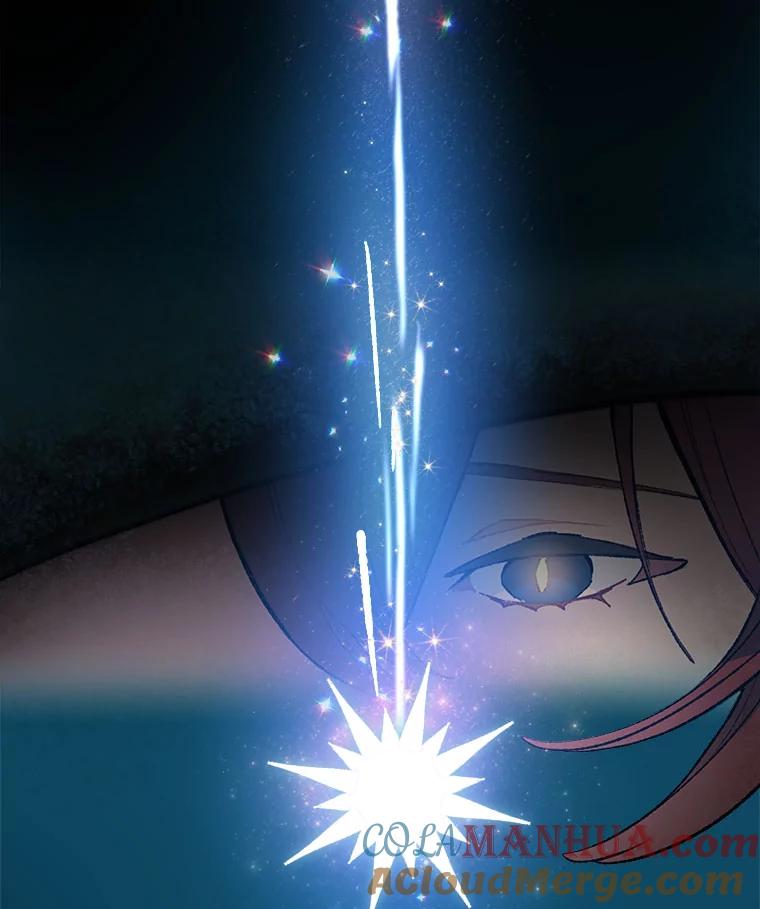 《在流星坠落之处等待》33.帕伊的牺牲 第16页