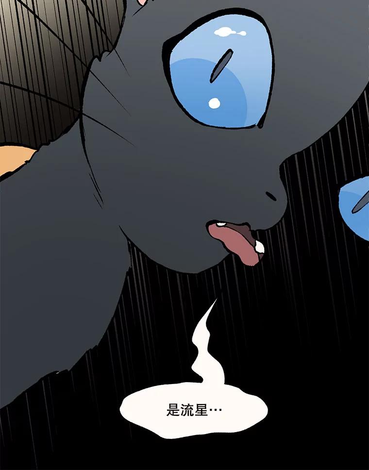 《在流星坠落之处等待》33.帕伊的牺牲 第12页