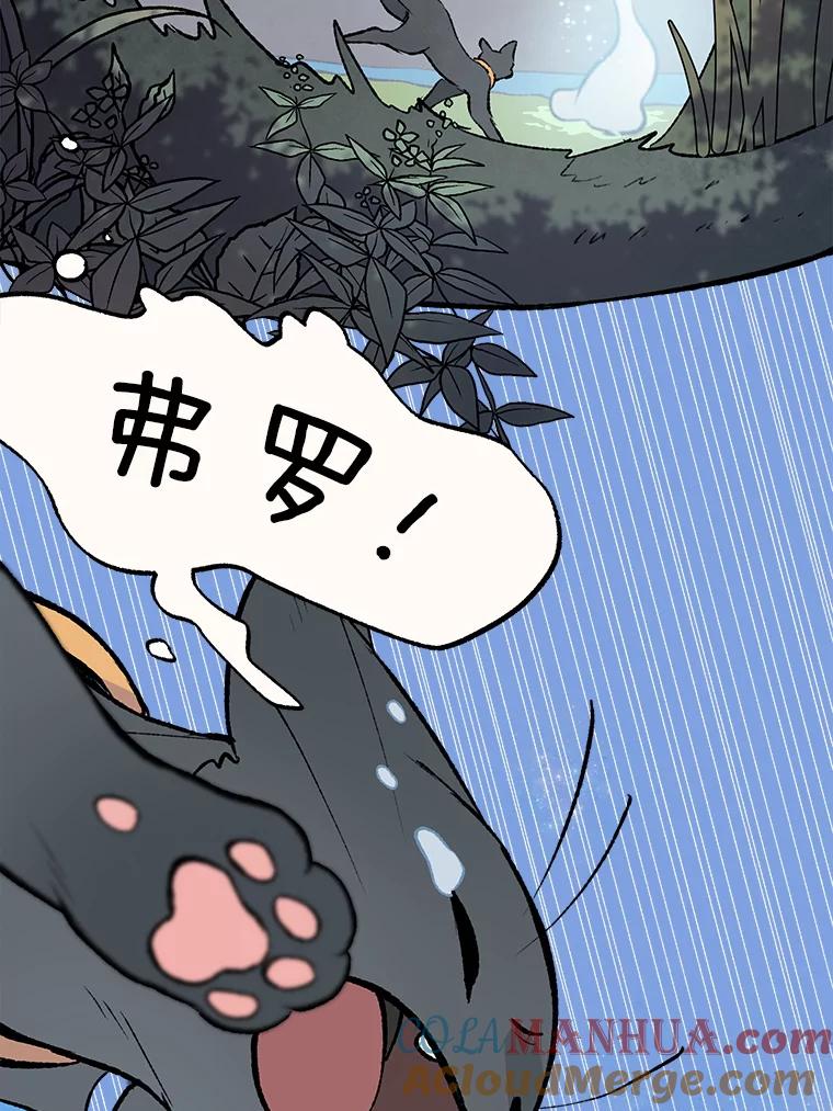 《在流星坠落之处等待》34.第二颗流星 第25页