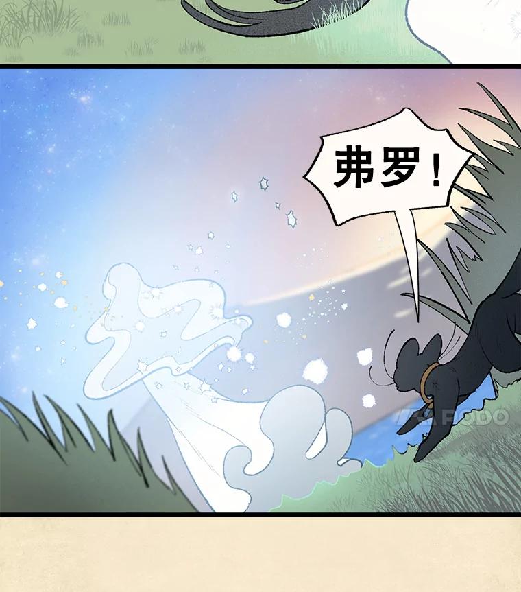 《在流星坠落之处等待》34.第二颗流星 第40页