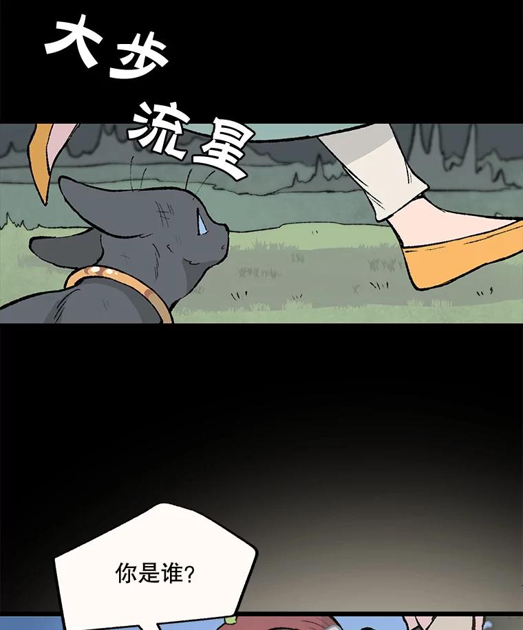 《在流星坠落之处等待》34.第二颗流星 第48页