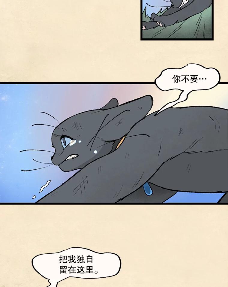 《在流星坠落之处等待》34.第二颗流星 第42页