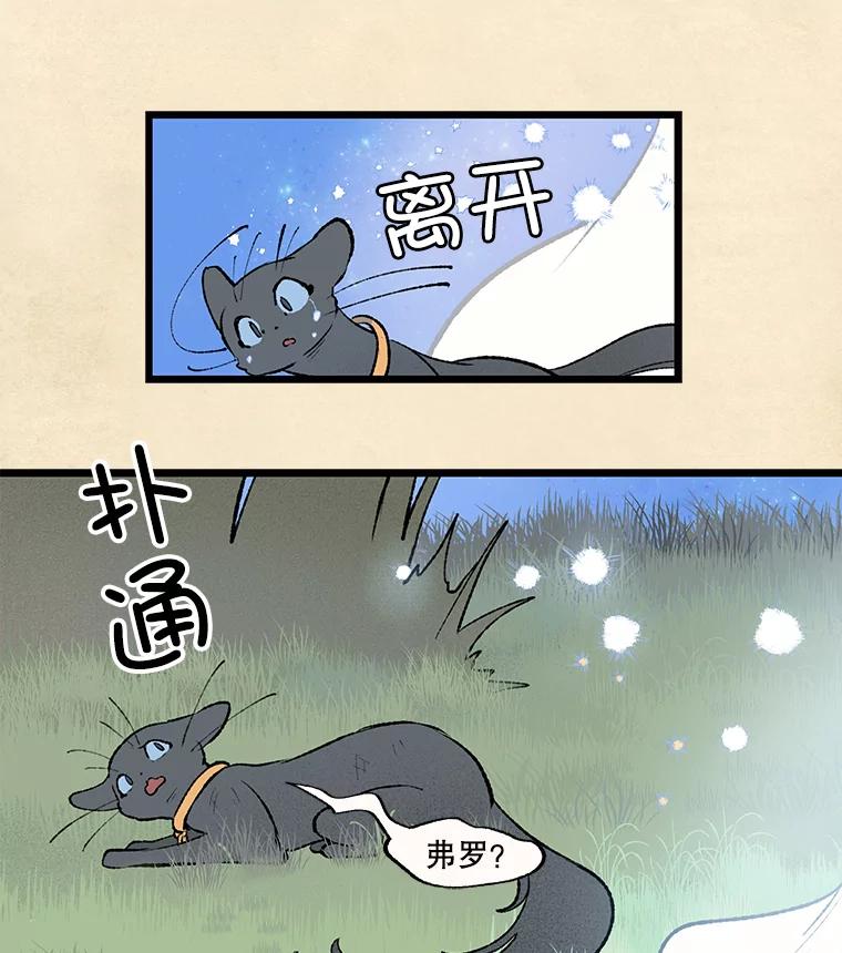 《在流星坠落之处等待》34.第二颗流星 第39页