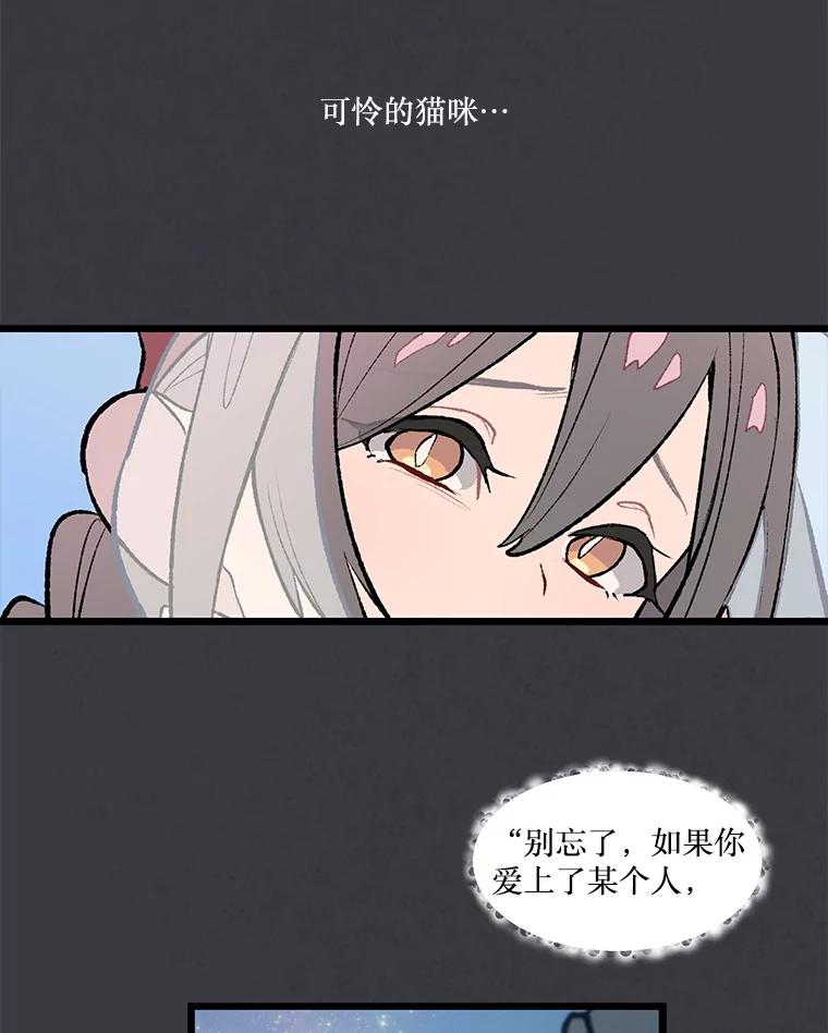 《在流星坠落之处等待》34.第二颗流星 第70页