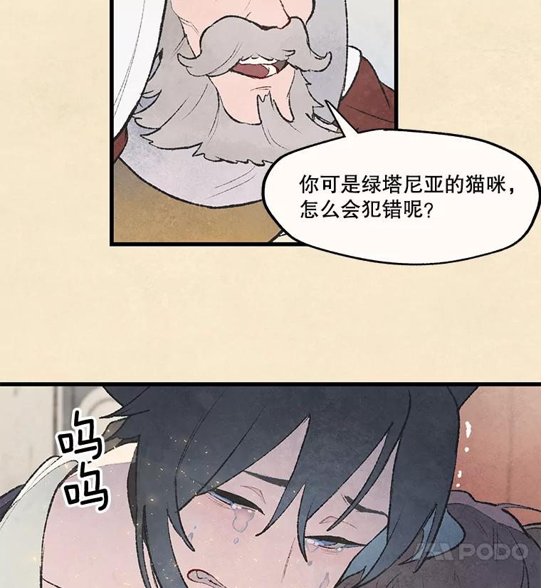 《在流星坠落之处等待》37.脚铐 第54页