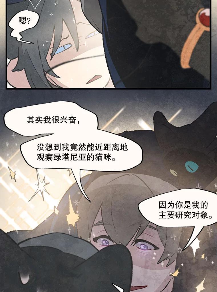 《在流星坠落之处等待》38.惩罚 第26页