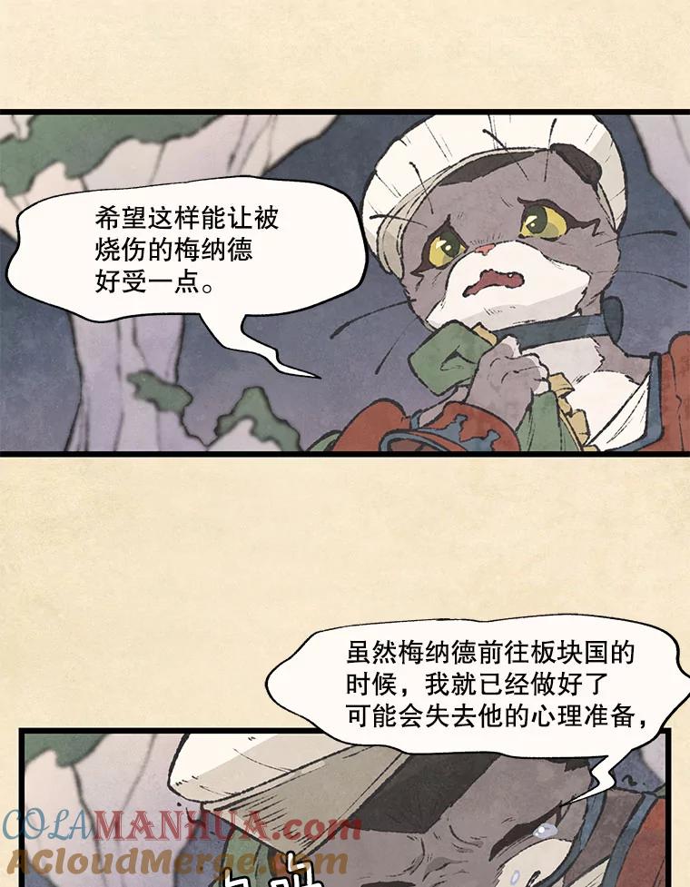 《在流星坠落之处等待》39.你不要哭。 第31页