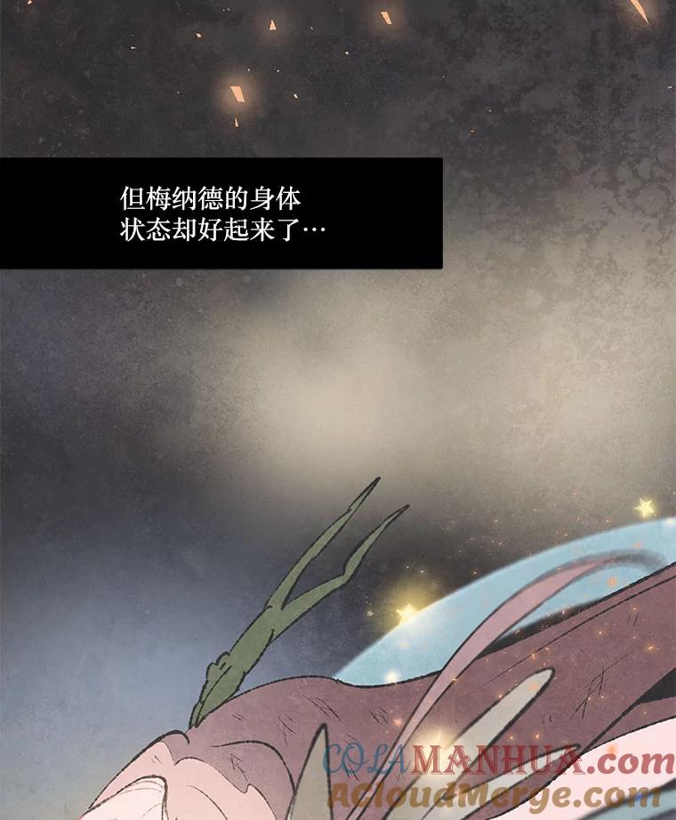 《在流星坠落之处等待》39.你不要哭。 第49页