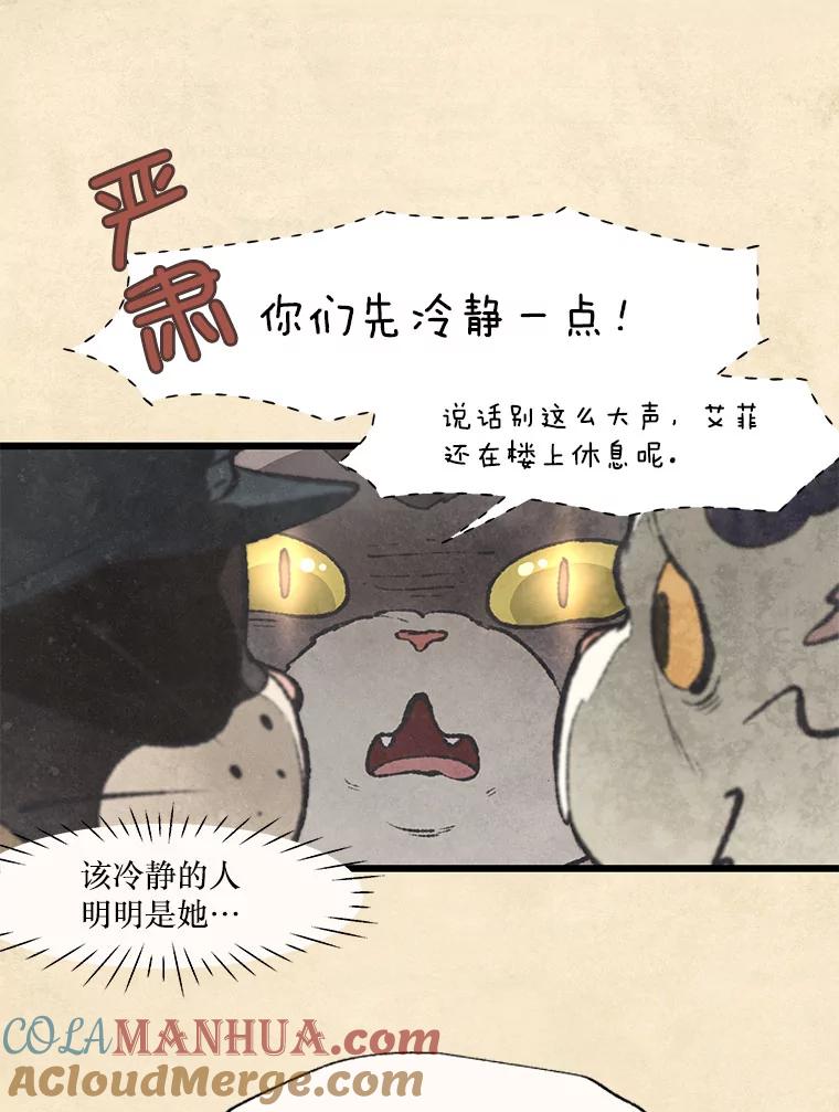 《在流星坠落之处等待》40.突然到访的客人 第13页