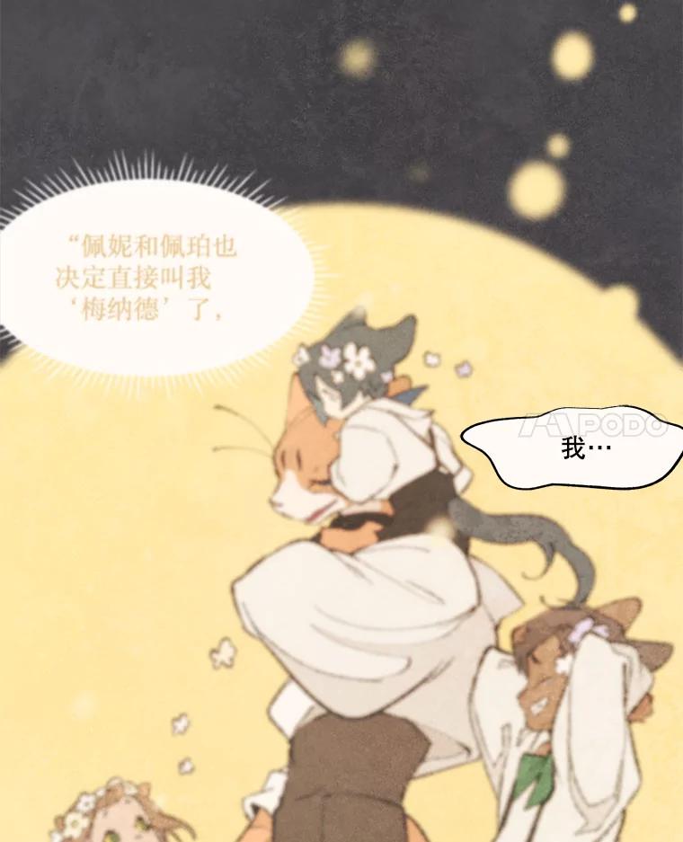 《在流星坠落之处等待》40.突然到访的客人 第41页