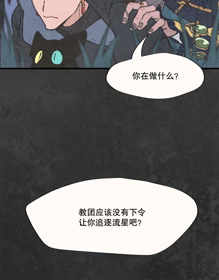《在流星坠落之处等待》44.魔法师们 第17页