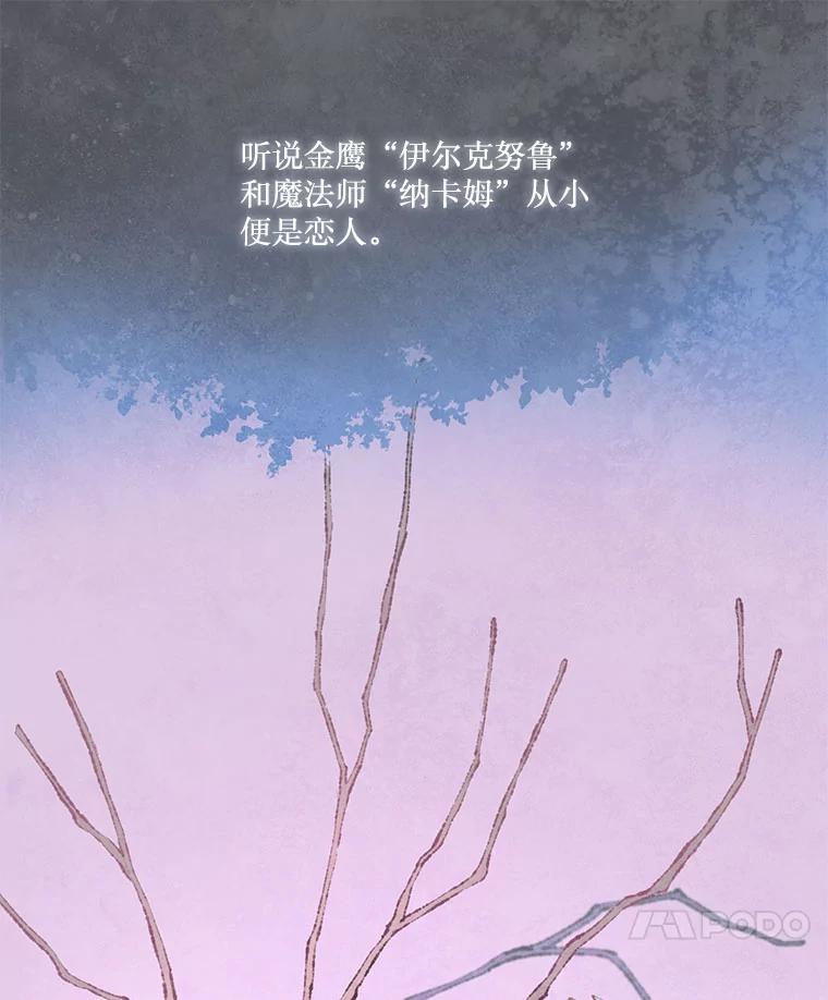 《在流星坠落之处等待》44.魔法师们 第50页