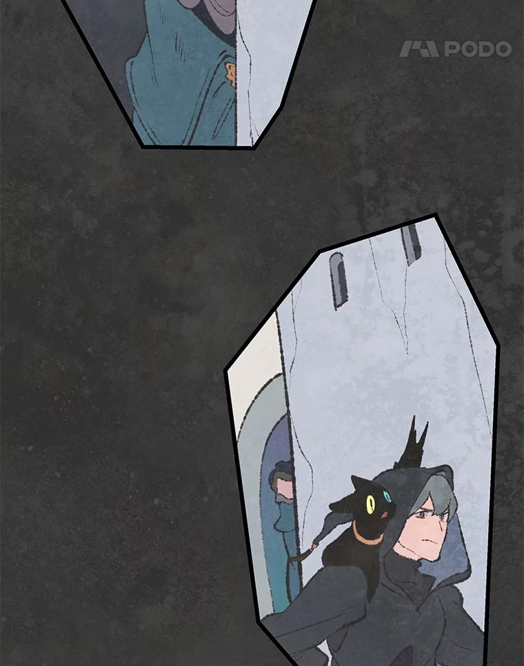《在流星坠落之处等待》44.魔法师们 第15页