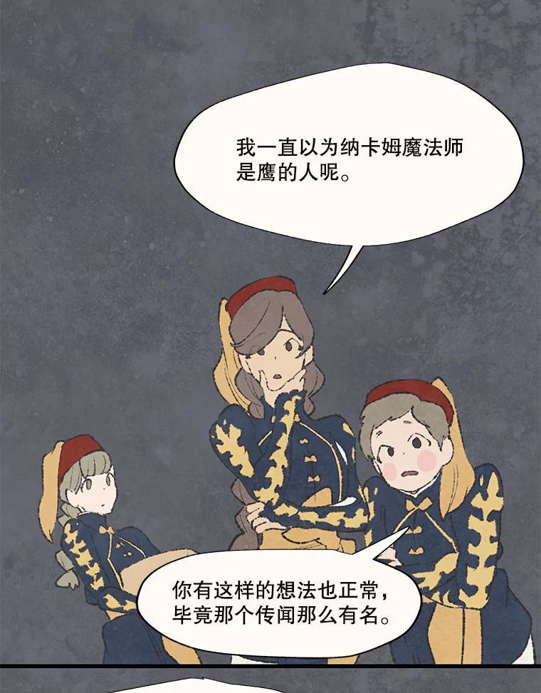 《在流星坠落之处等待》44.魔法师们 第48页