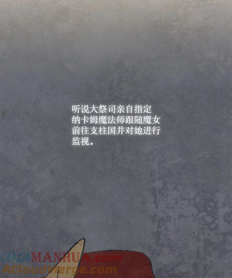 《在流星坠落之处等待》44.魔法师们 第43页
