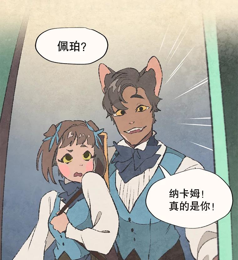 《在流星坠落之处等待》46.监视者 第45页