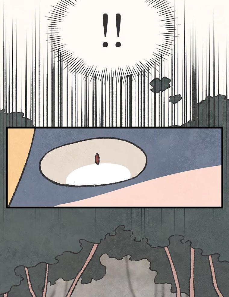 《在流星坠落之处等待》46.监视者 第38页