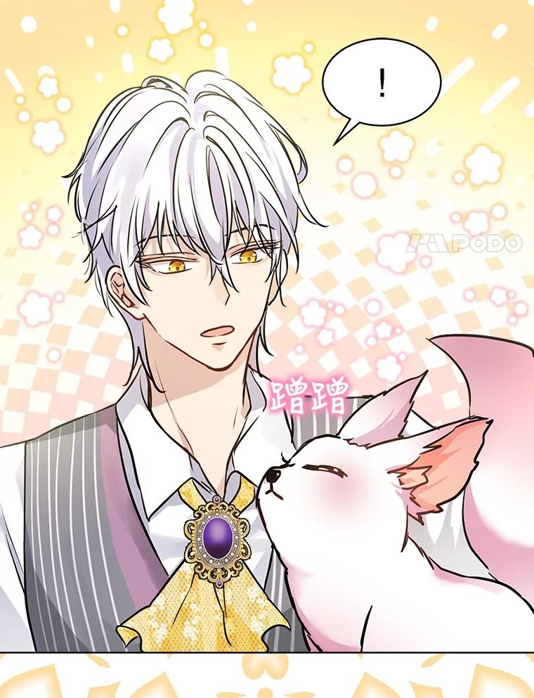 重生为神兽宝宝 - 3.魔法师 - 第60张图