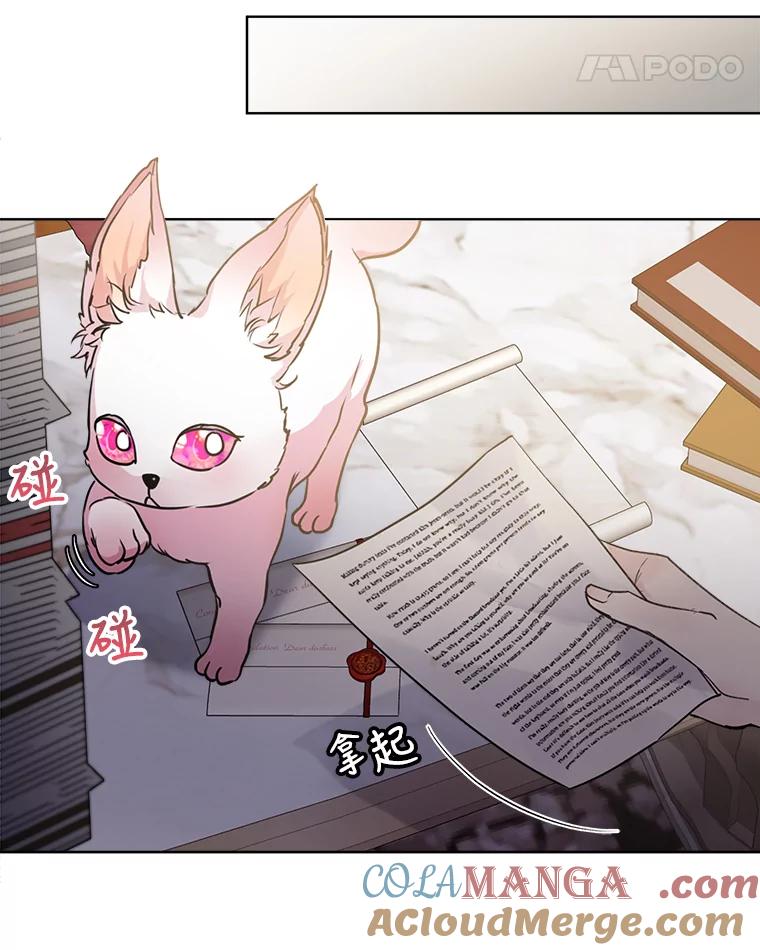 重生为神兽宝宝 - 3.魔法师 - 第40张图