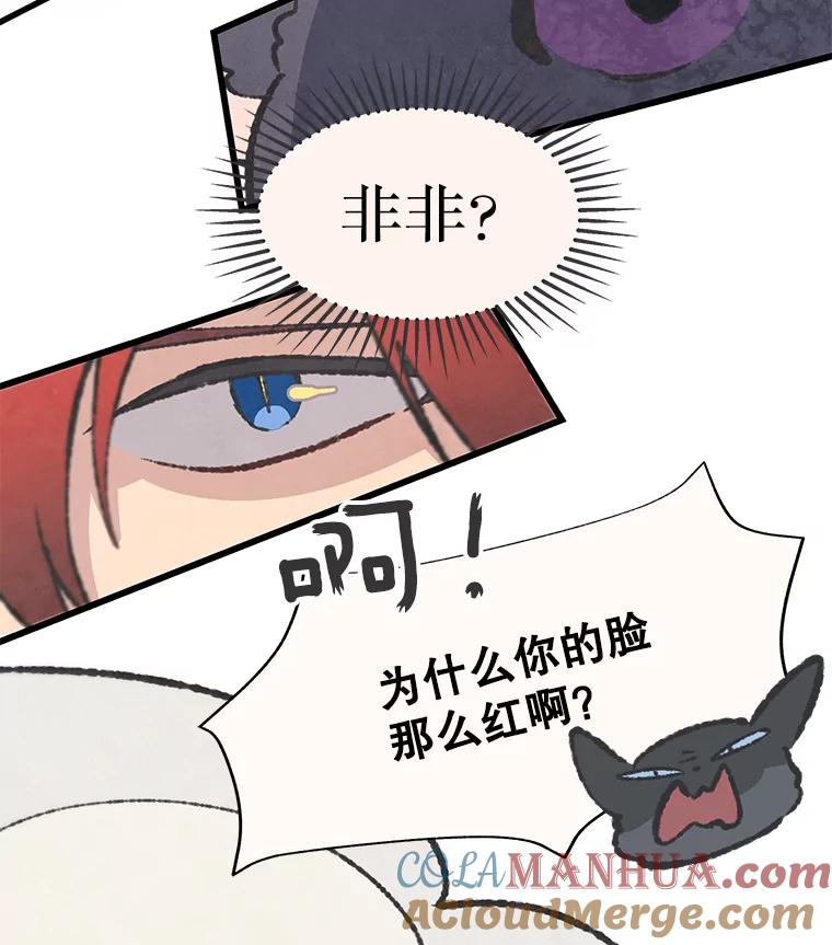 《在流星坠落之处等待》48.虚假 第43页