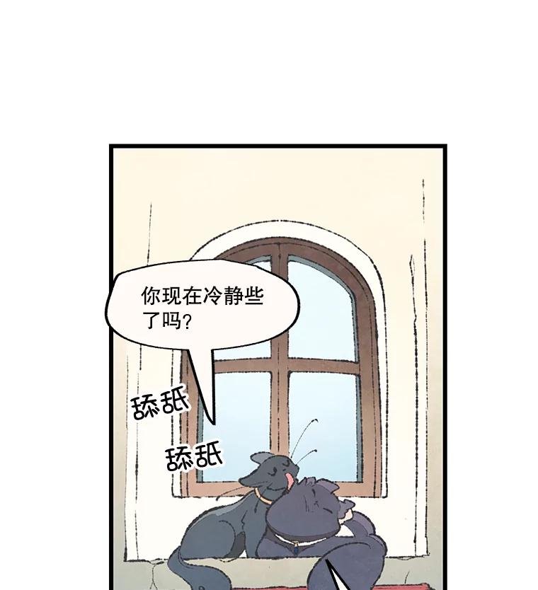 《在流星坠落之处等待》48.虚假 第27页