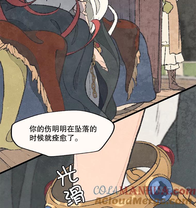 《在流星坠落之处等待》48.虚假 第55页