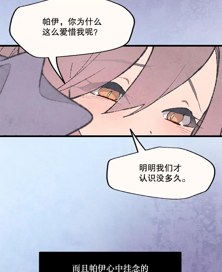 《在流星坠落之处等待》48.虚假 第3页