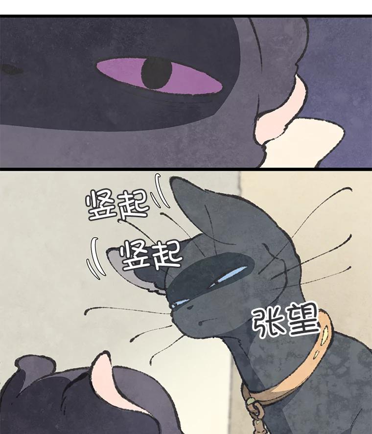 《在流星坠落之处等待》48.虚假 第39页