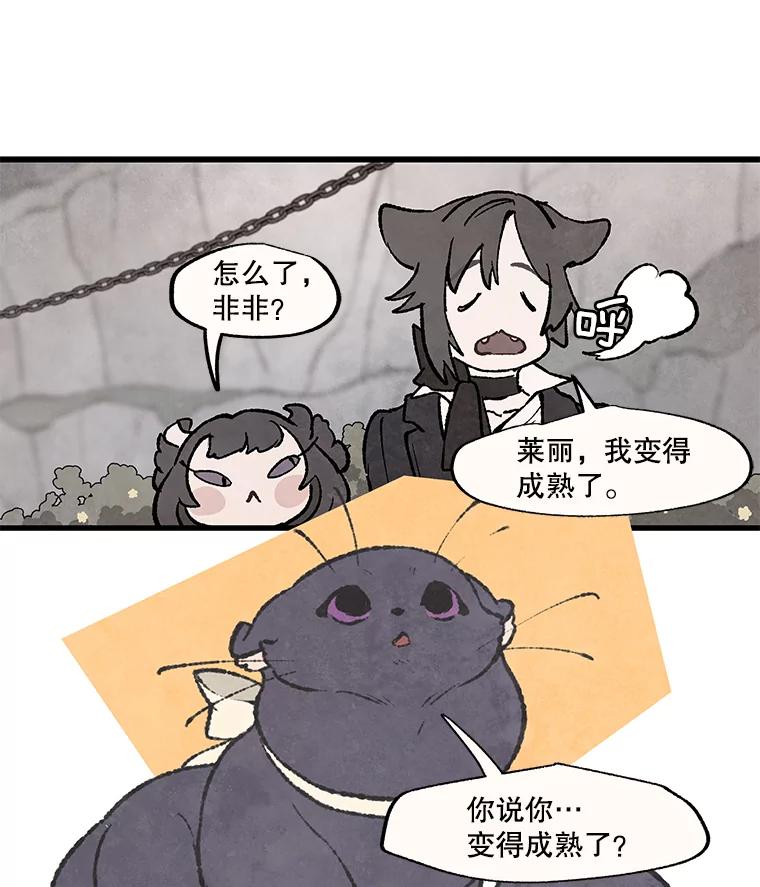 《在流星坠落之处等待》48.虚假 第35页