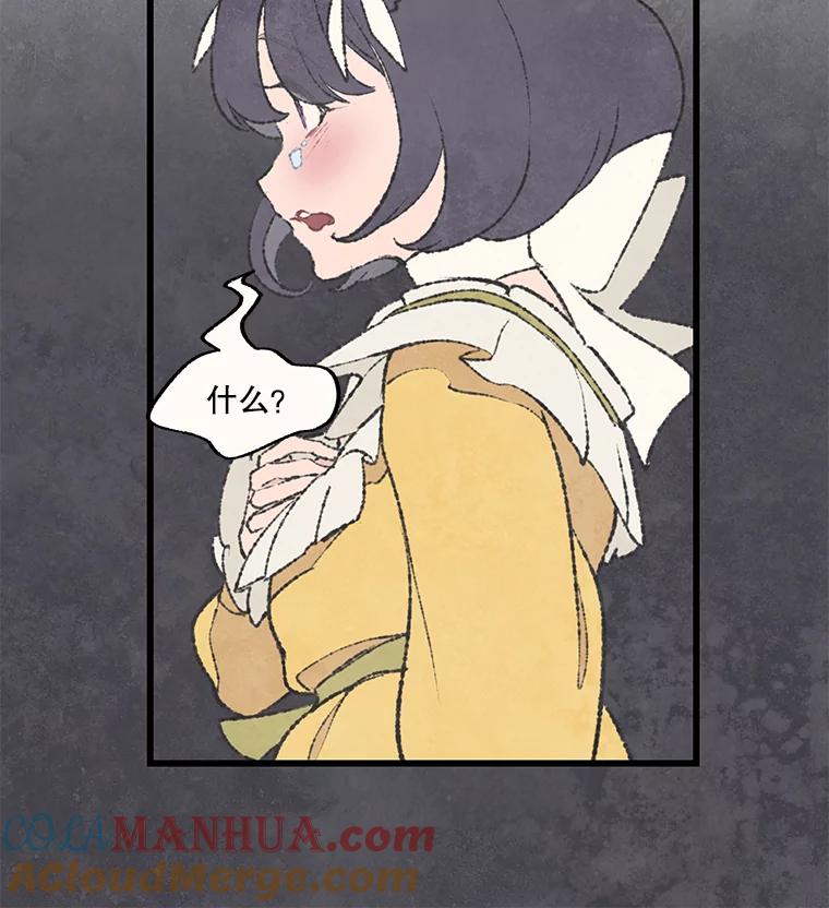 《在流星坠落之处等待》48.虚假 第61页